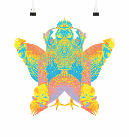 Roostar - Poster 20 x 20 cm