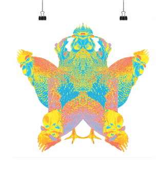 Roostar - Poster 30 x 30 cm