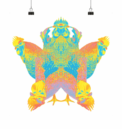 Roostar - Poster 30 x 30 cm