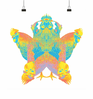 Roostar - Poster 40 x 40 cm