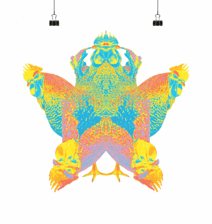 Roostar - Poster 40 x 40 cm